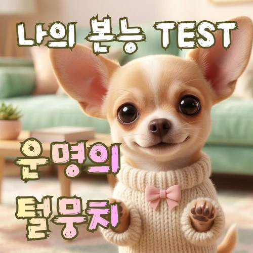 운명의털뭉치
